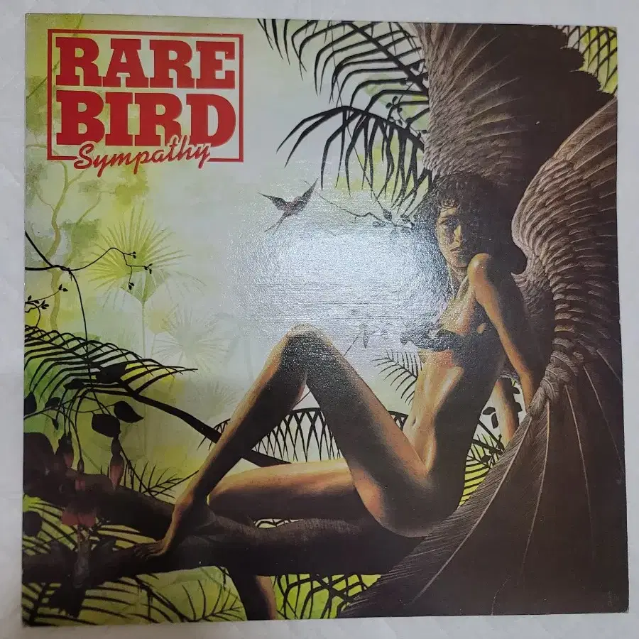 RARE BIRD LP