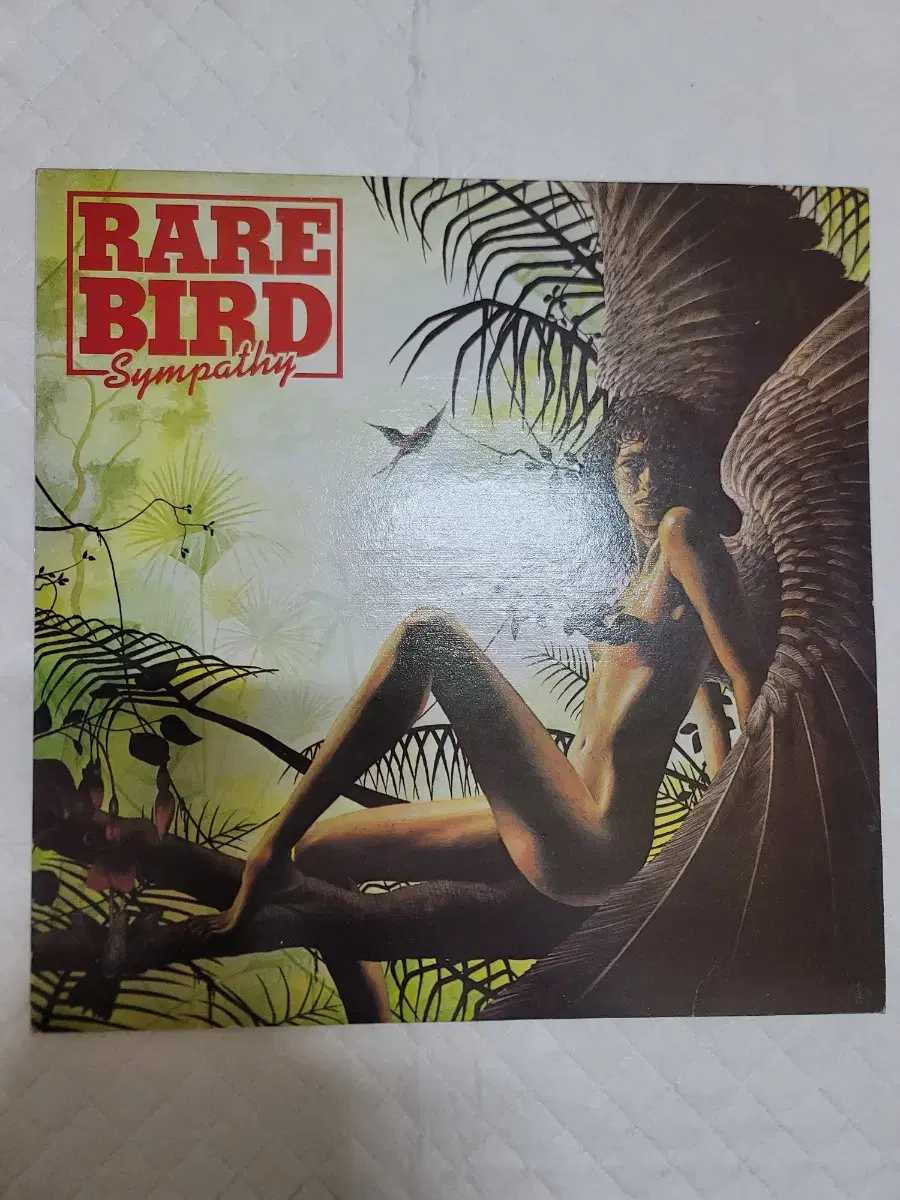 RARE BIRD LP