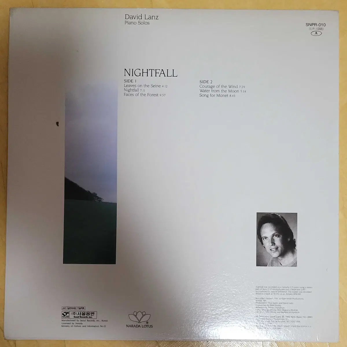 데이빗 란츠 (David Lanz) - Nightfall (개봉, LP)