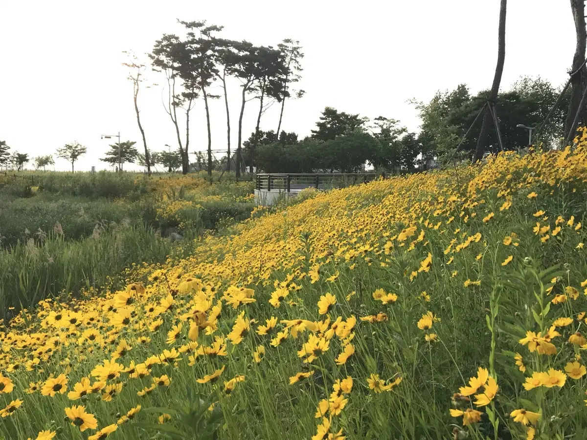 미사용 노트북 태블릿 파우치