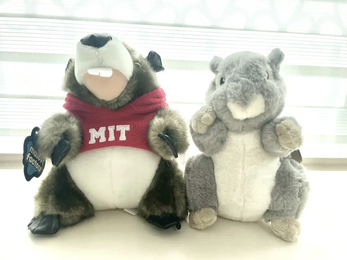 MIT 비버 인형, 센트럴파크 청설모 인형, 곰 인형