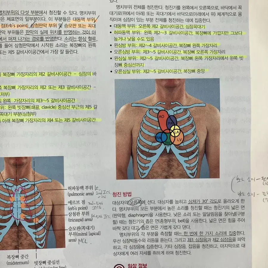 건강사정 수문사