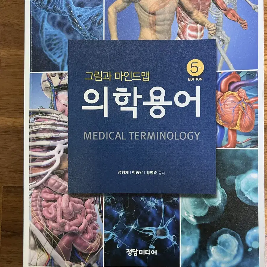 그림과 마인드맵 의학용어