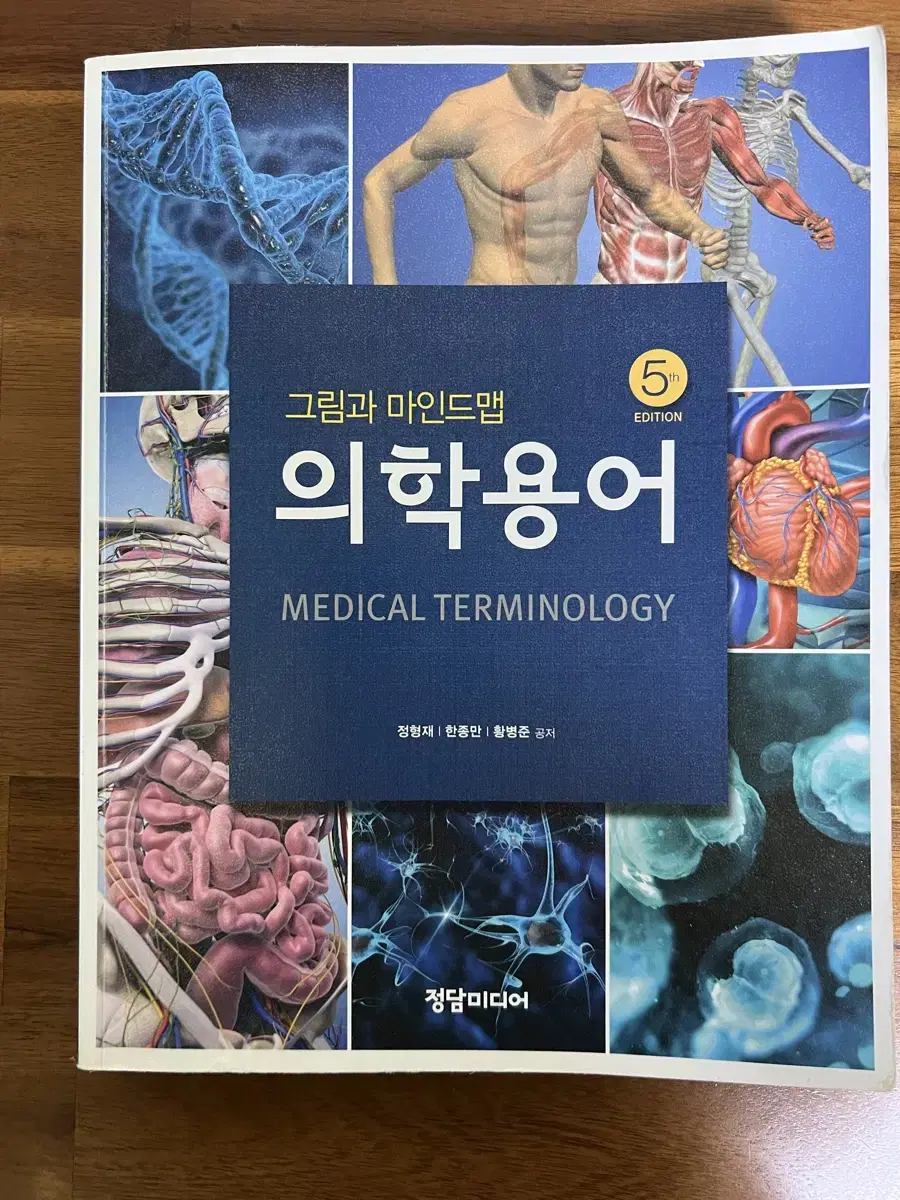 그림과 마인드맵 의학용어