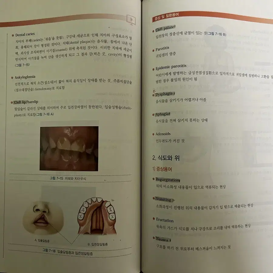 그림과 마인드맵 의학용어