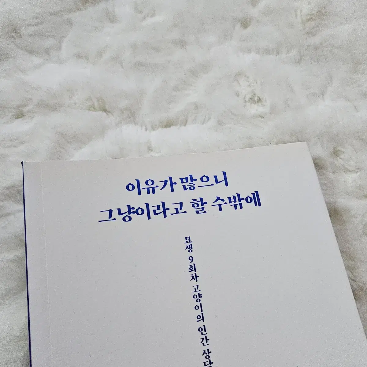 에세이 힐링 감성 도서 책