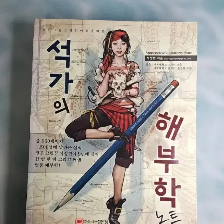 석가의 해부학 + 포즈와 구도의 법칙 (먼지맛딸기케이크님)