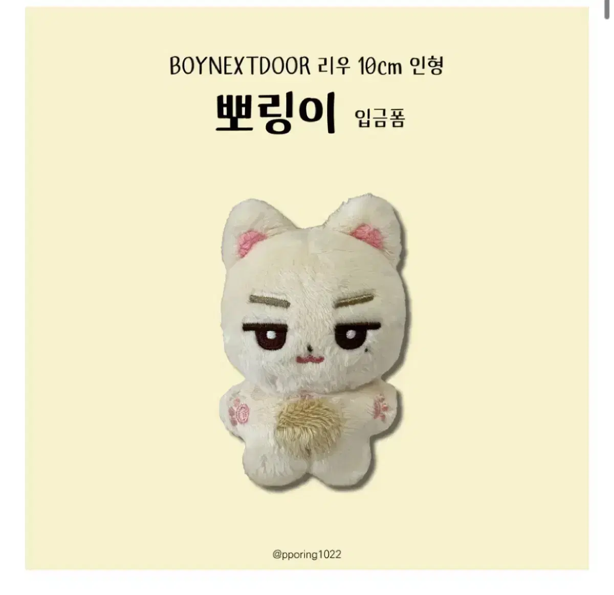 boynextdoor riwoo Doll/Poringi/WTS