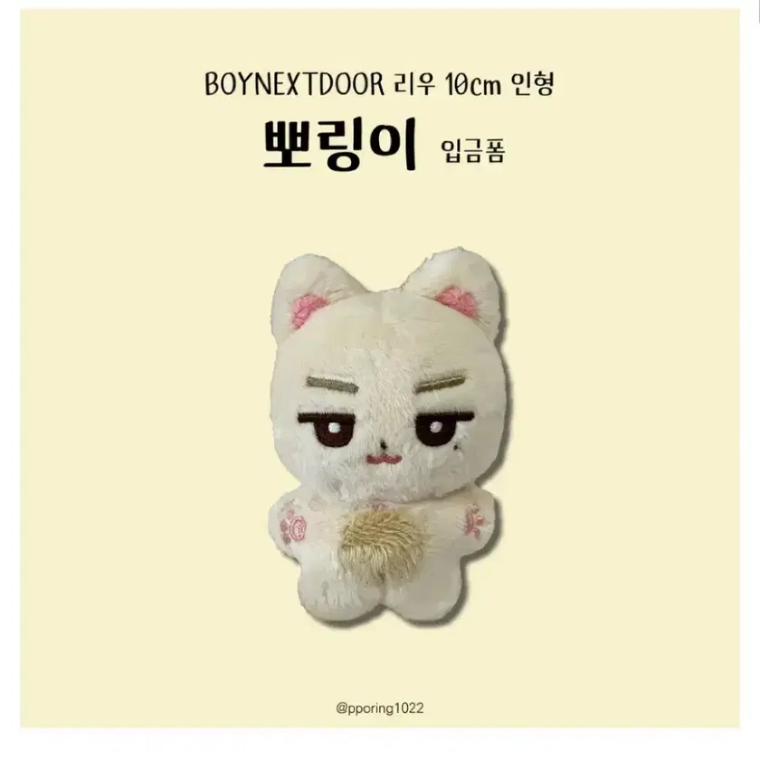 BOYNEXTDOOR  RIWOO ぬいぐるみ 着せ替え 15cm Amazon.co.jp: BOYNEXTDOOR リウ ぬいぐるみ : おもちゃ
