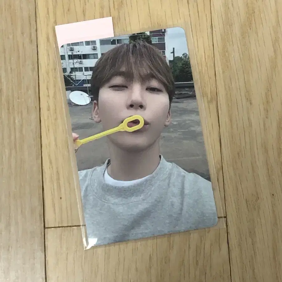 세븐틴 승관 나고야 회장 한정 always yours 포토카드 포카