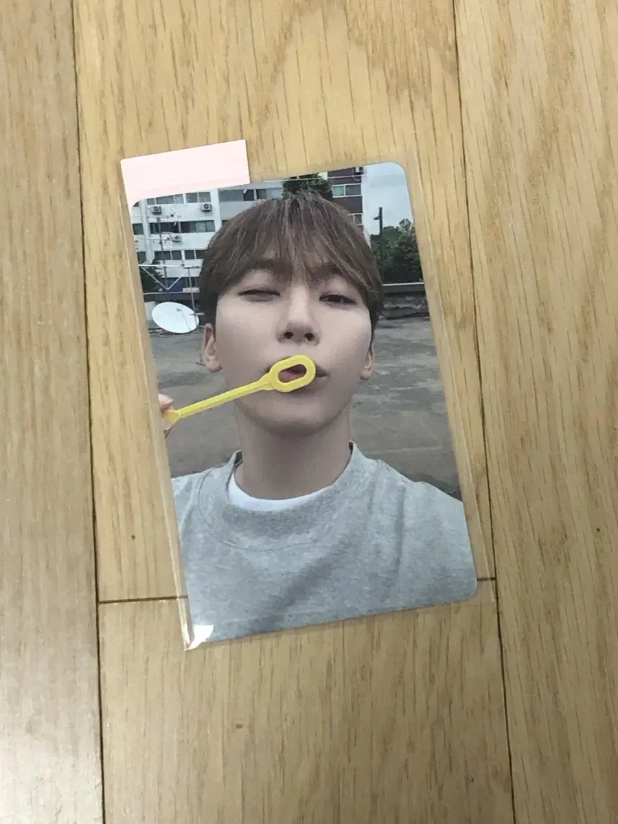 세븐틴 승관 나고야 회장 한정 always yours 포토카드 포카