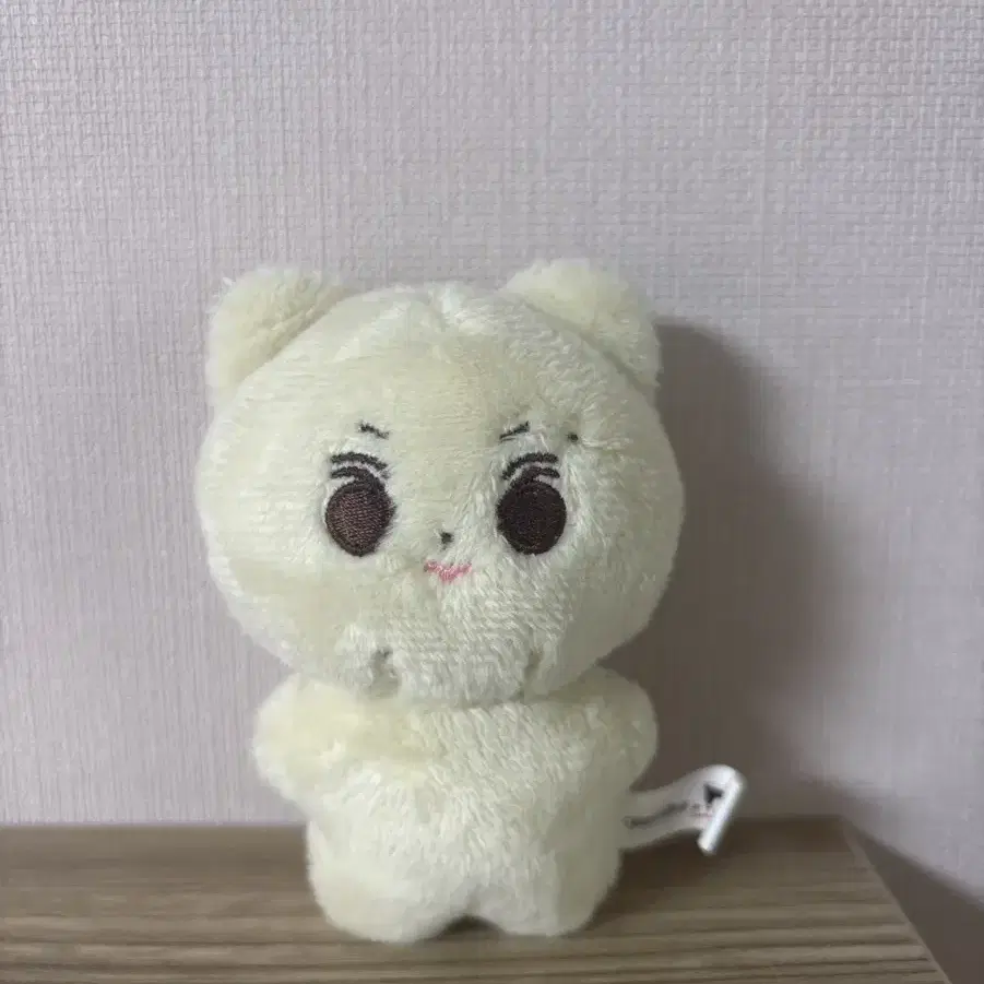 엔하이픈 정원 인형 꼼양이