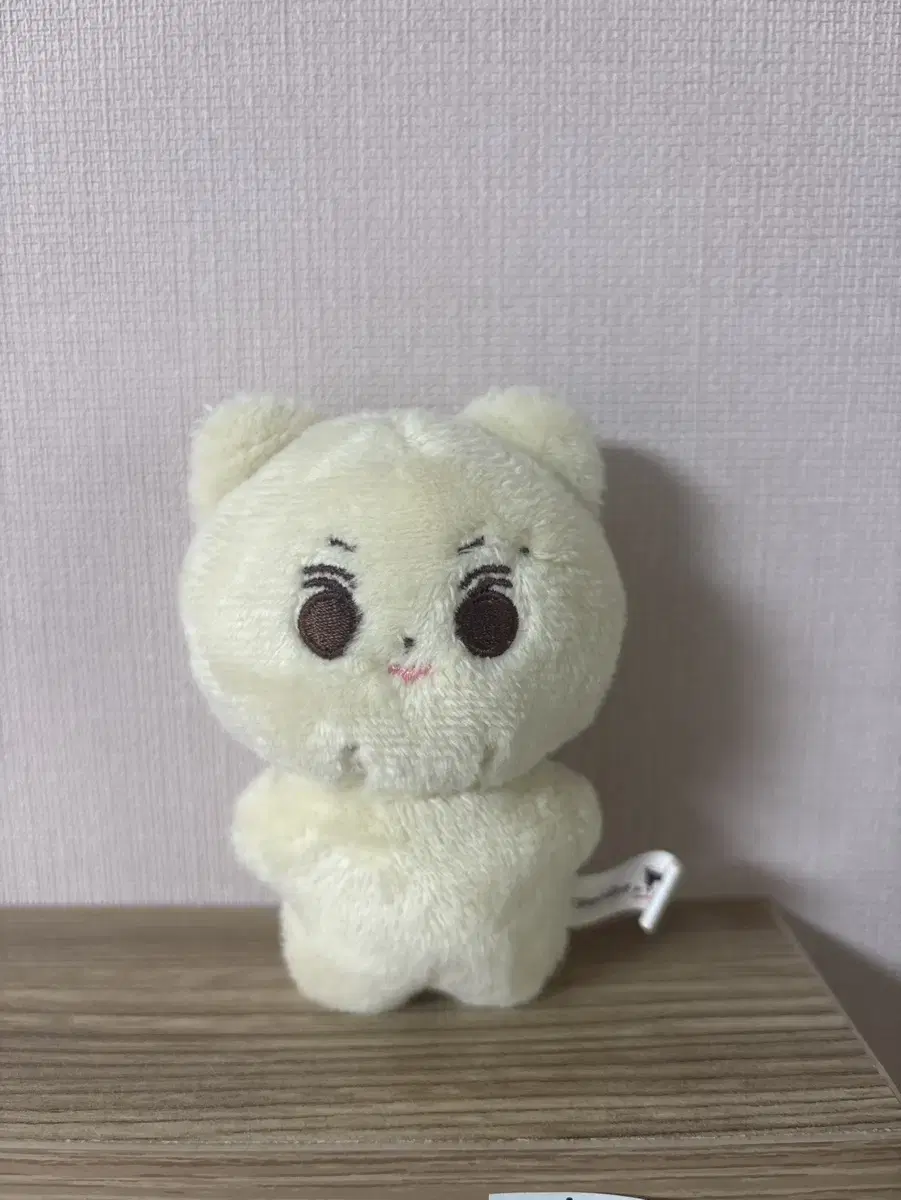 엔하이픈 정원 인형 꼼양이