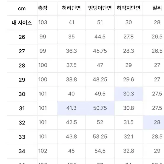 무탠다드 스트레이트 히든 밴딩 슬랙스 (31)