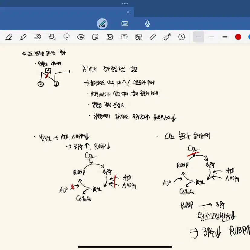 3월 학평 시작 -> 수능 50점  생명과학2 과외