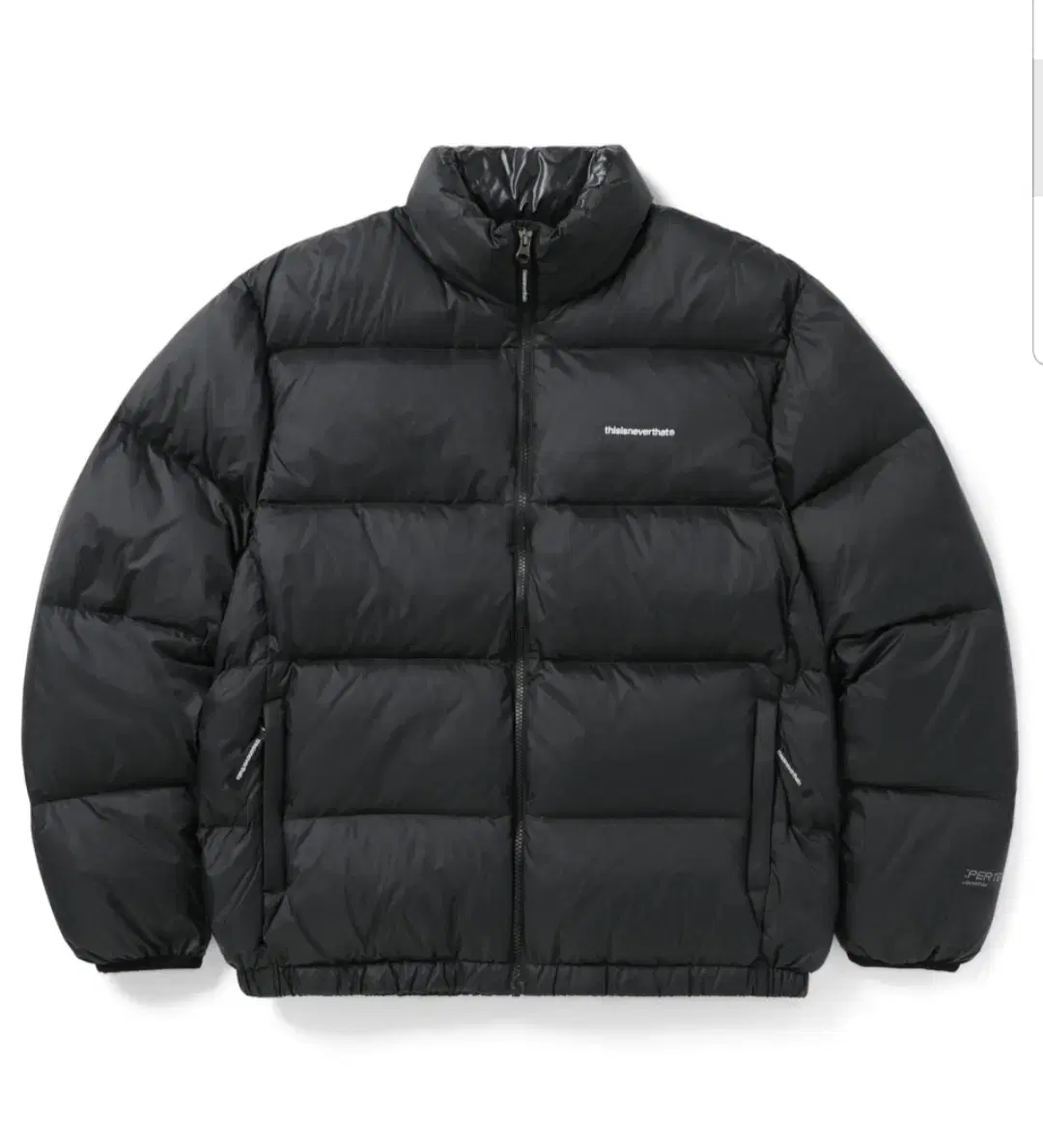 디스이즈네버댓 PERTEX T Down Jacket Black