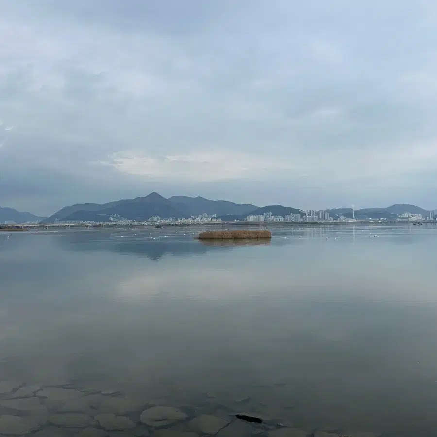 애플 뮤직 1년방 들어가고싶어요 초대 해주세요