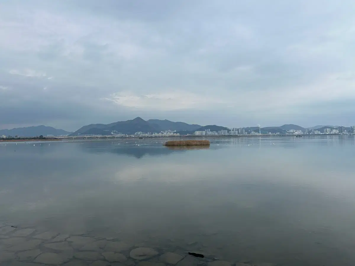 애플 뮤직 1년방 들어가고싶어요 초대 해주세요