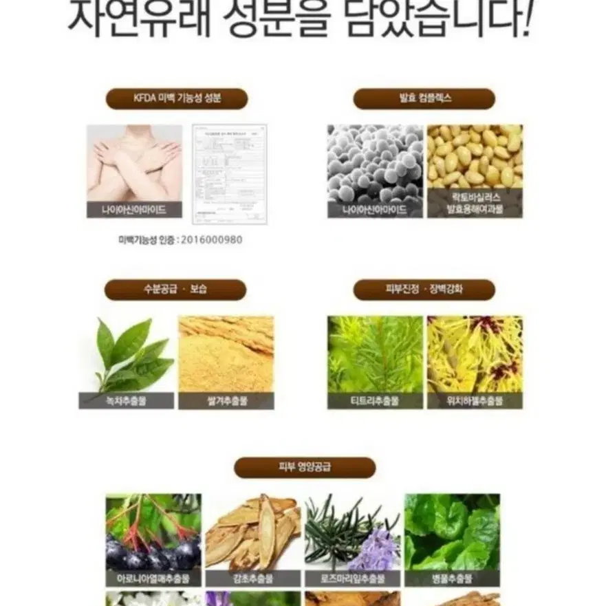 바디미백로션