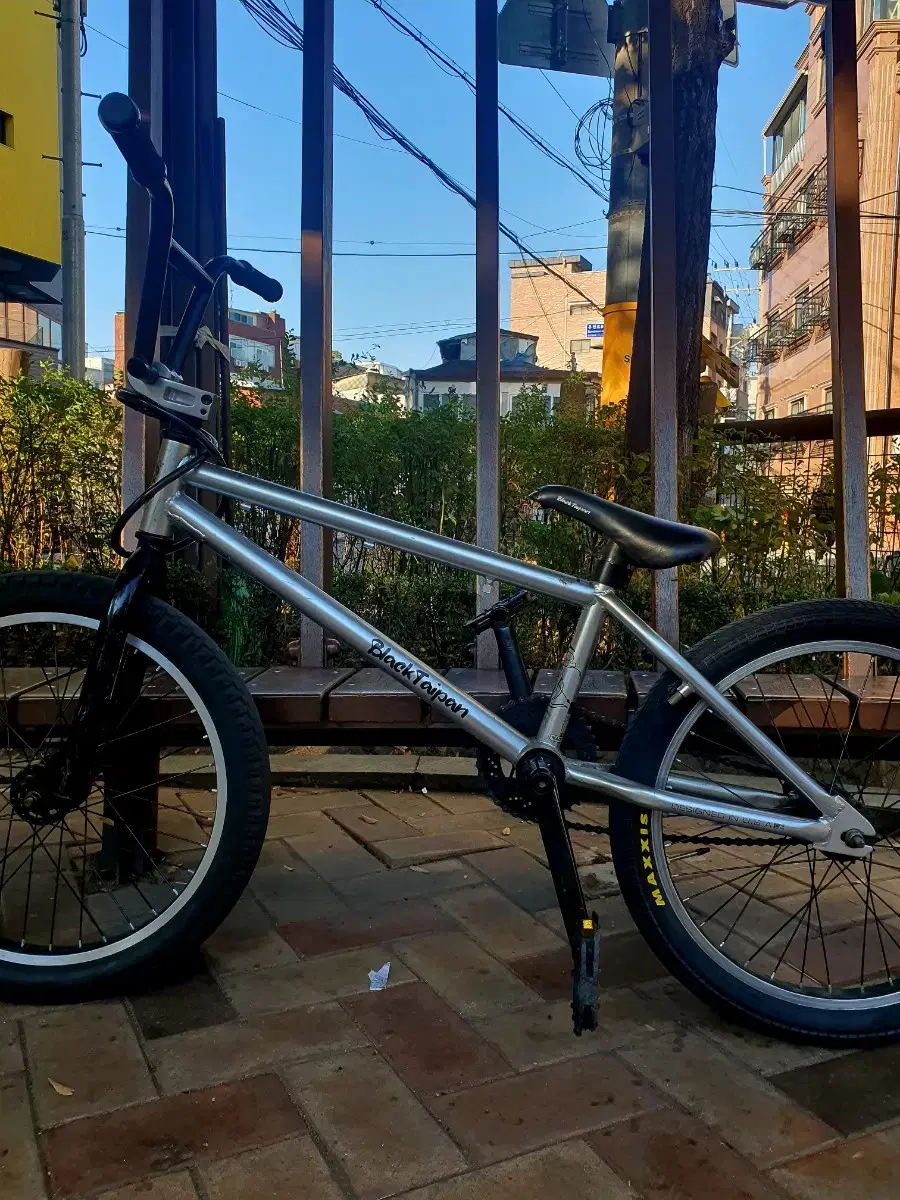 블랙타이판  bmx 판매/대차