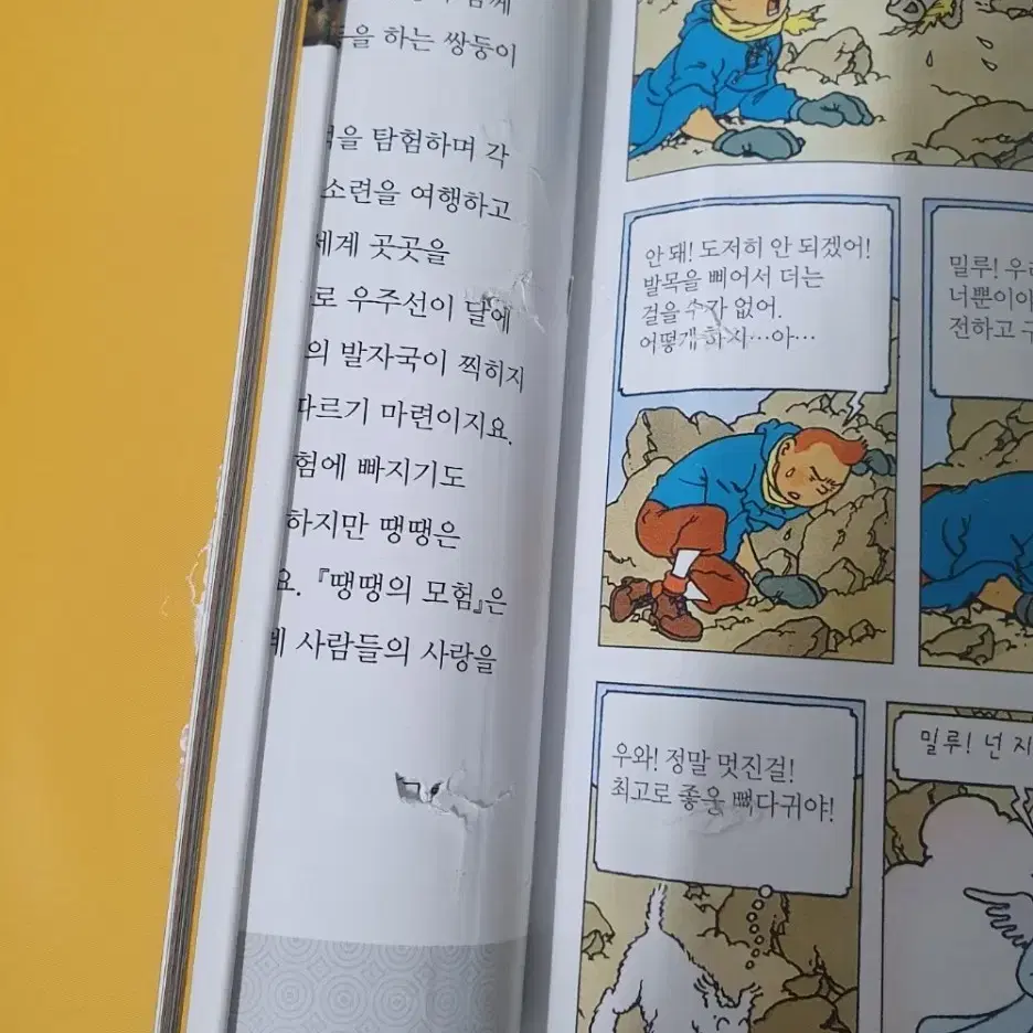 이야기가 있는 작은 미술관다채(웅진다책)