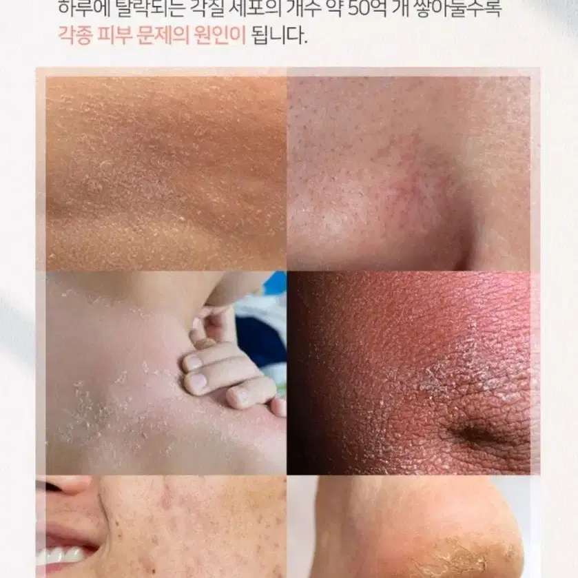 새것ㅡ살라메르 로얄스네일 콜라겐 필링젤