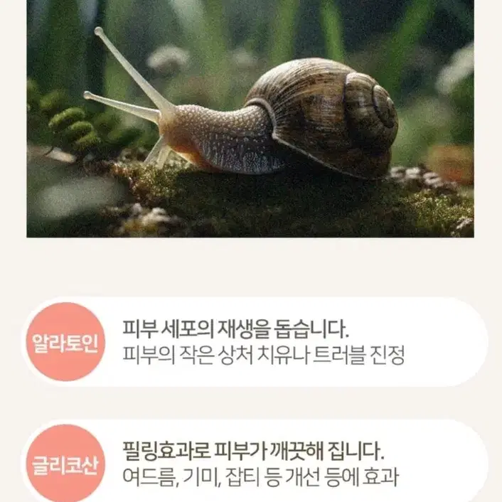 새것ㅡ살라메르 로얄스네일 콜라겐 필링젤