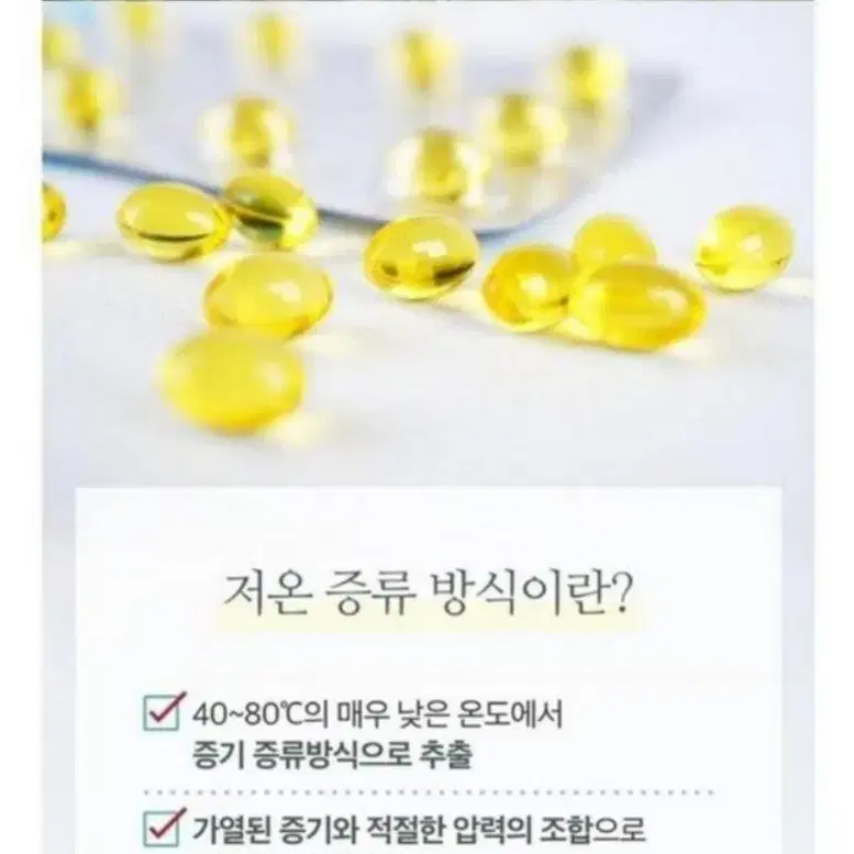 위건강 매스틱 오일 캡슐