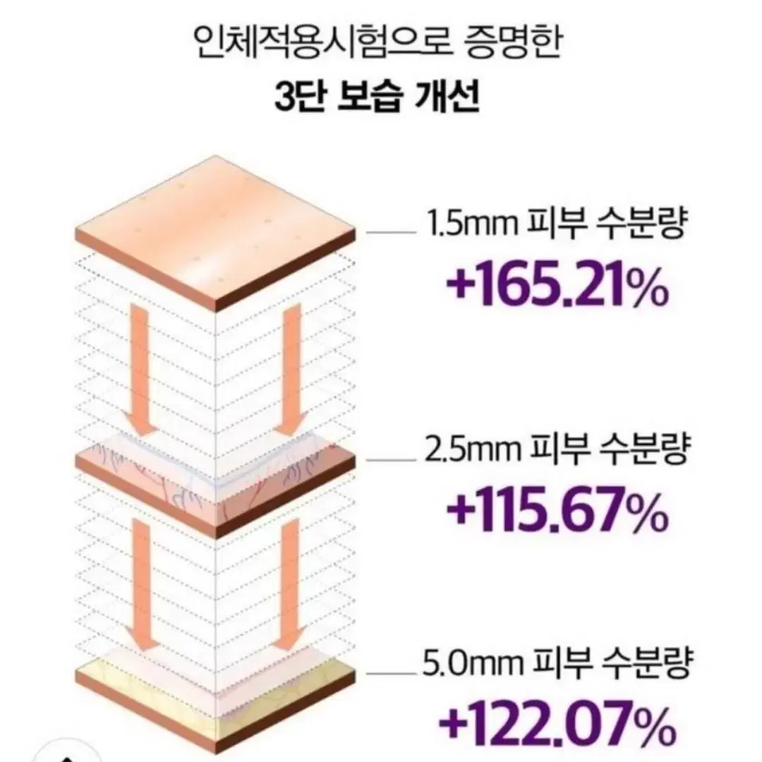 모공세럼