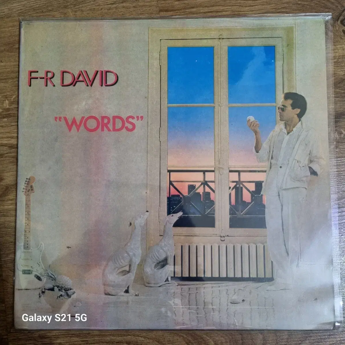 F.R. DAVID.   LP 음반