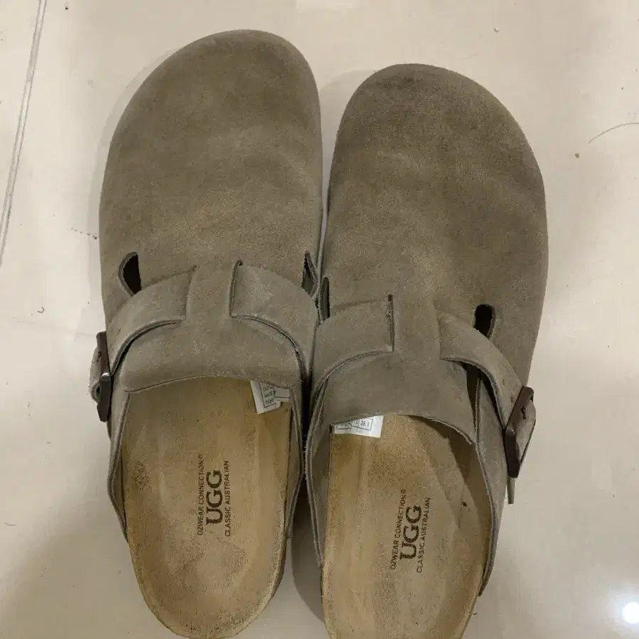 호주 어그 ugg 보스턴 280