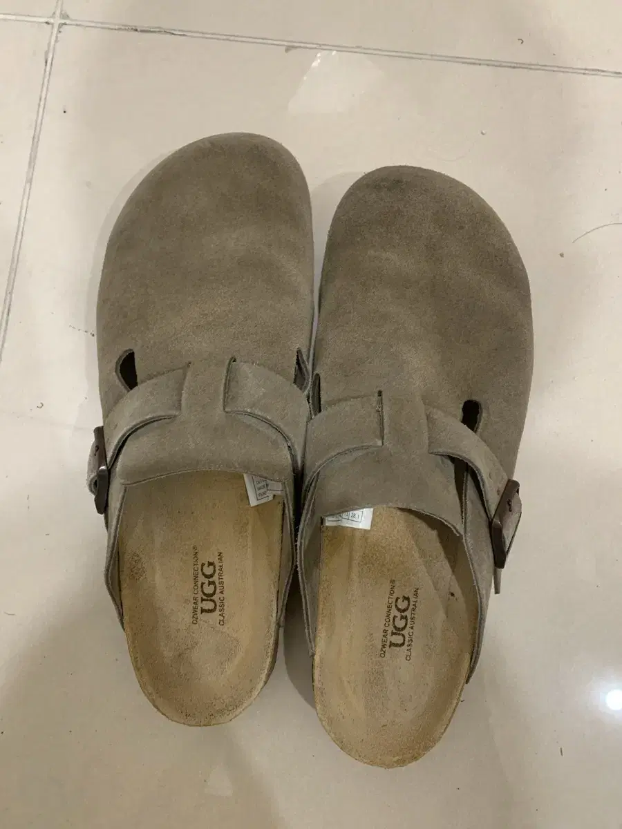 호주 어그 ugg 보스턴 280