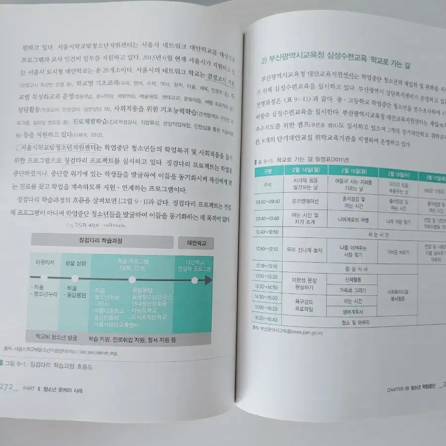 청소년 문제와 보호 (정민사)