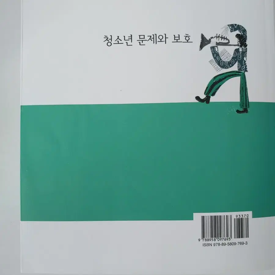 청소년 문제와 보호 (정민사)