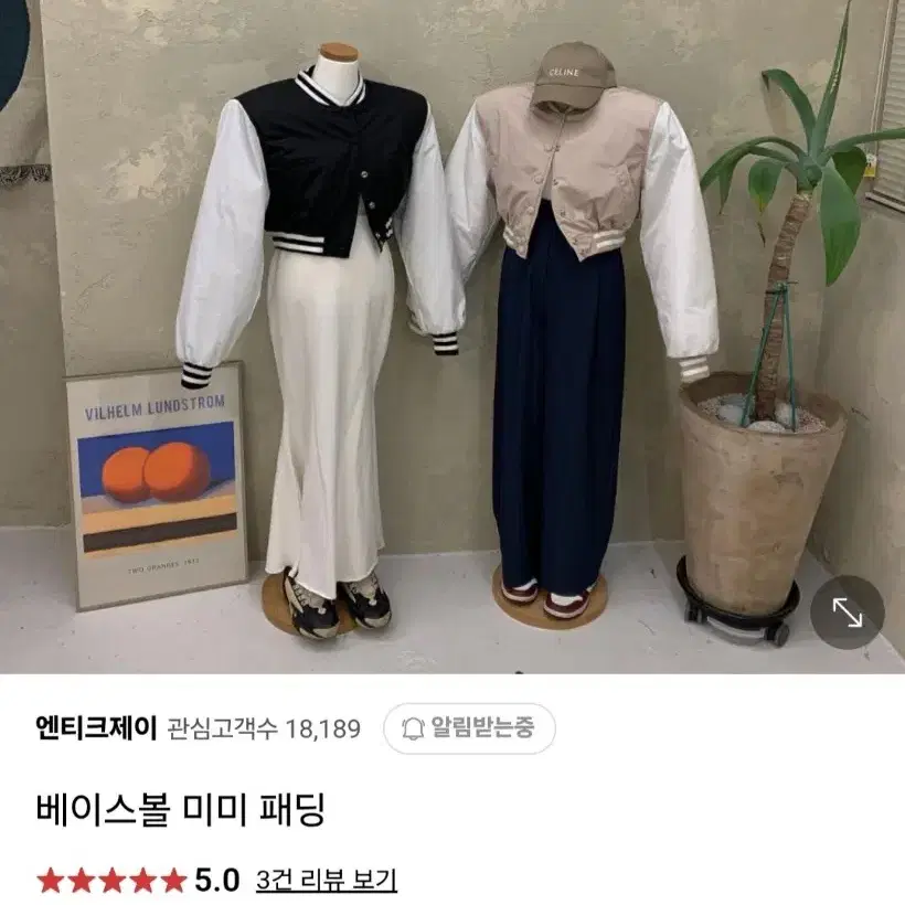 가비존 패딩점퍼 베이지