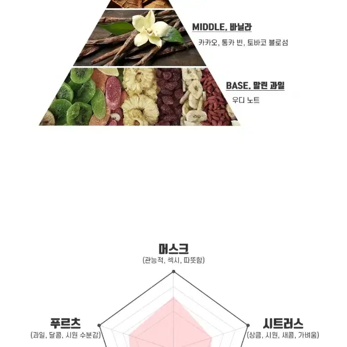 남자향수