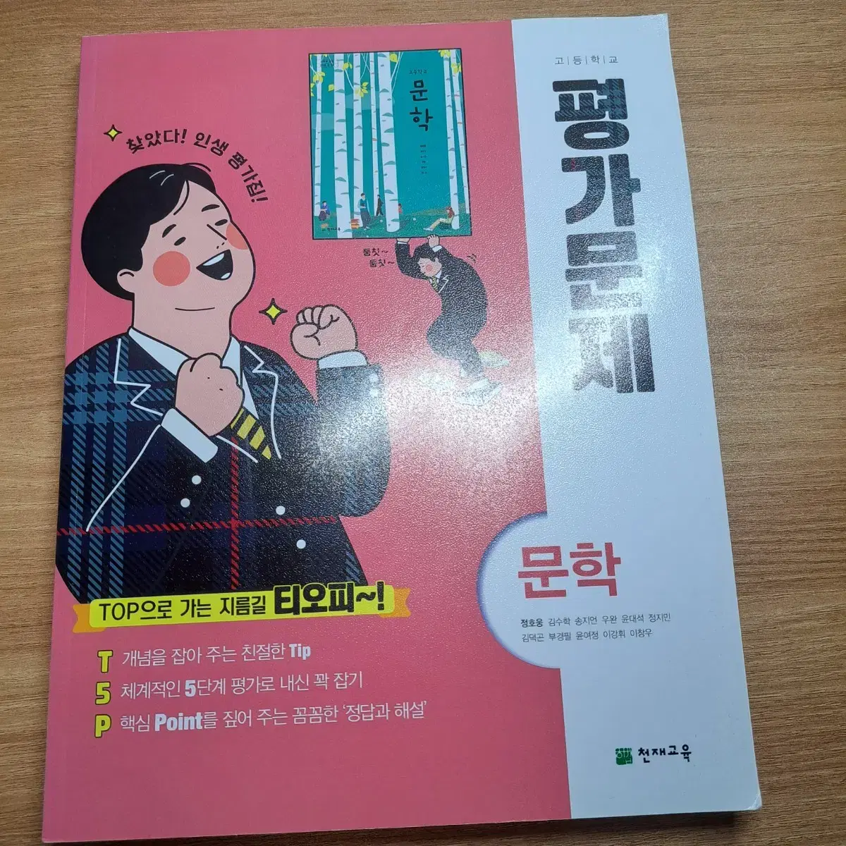 천재교육 문학 평가문제집