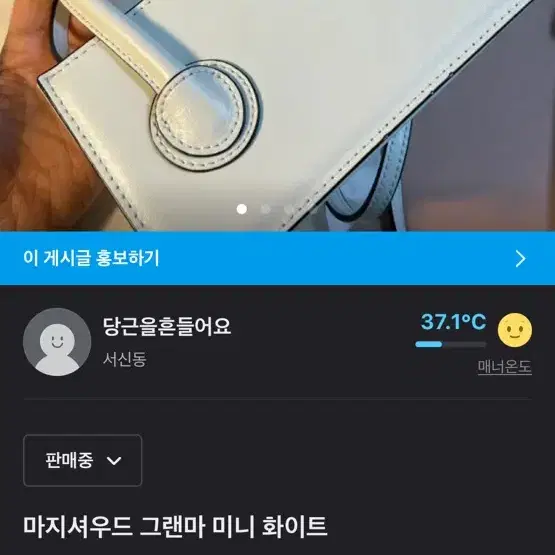 마지셔우드 그랜마 미니 화이트