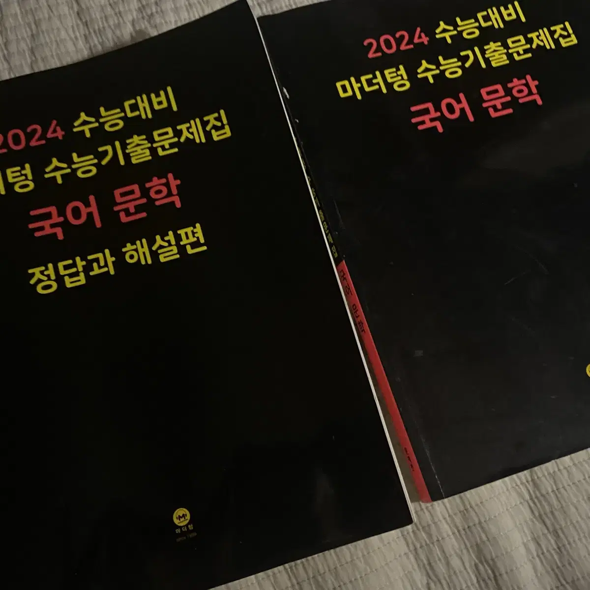 마더텅 2025 문학