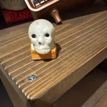 도자기 해골 빈티지 미드센추리