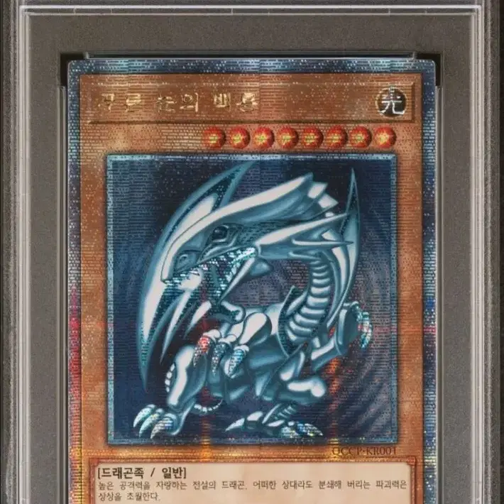 유희왕 푸른눈의백룡 QC PSA10 일괄