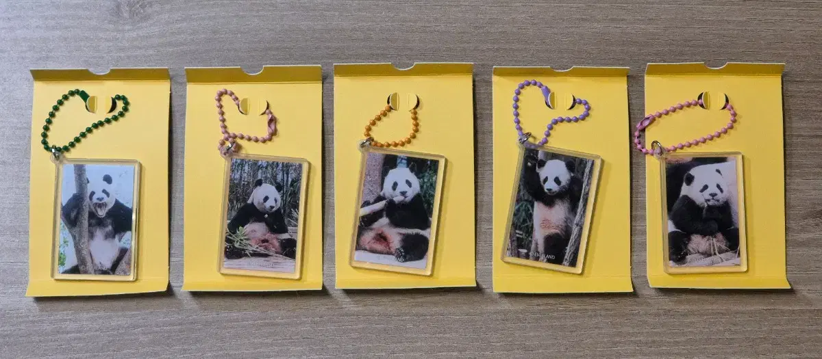 Everland Bao Family Amulet Keyring Set