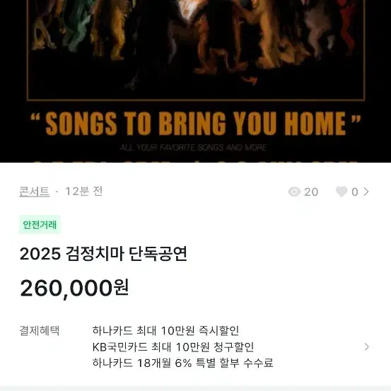 2025 검정치마 단독공연