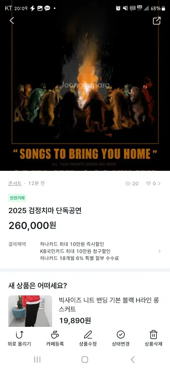 2025 검정치마 단독공연