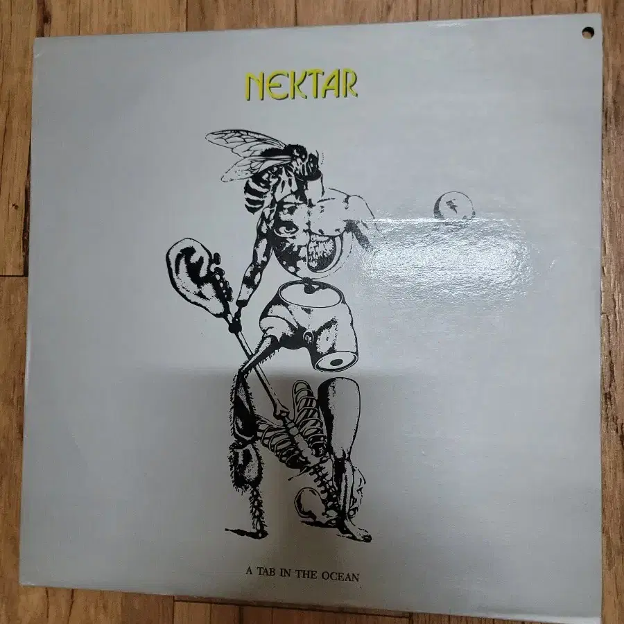 NEKTAR LP 프로그래시브 락 밴드