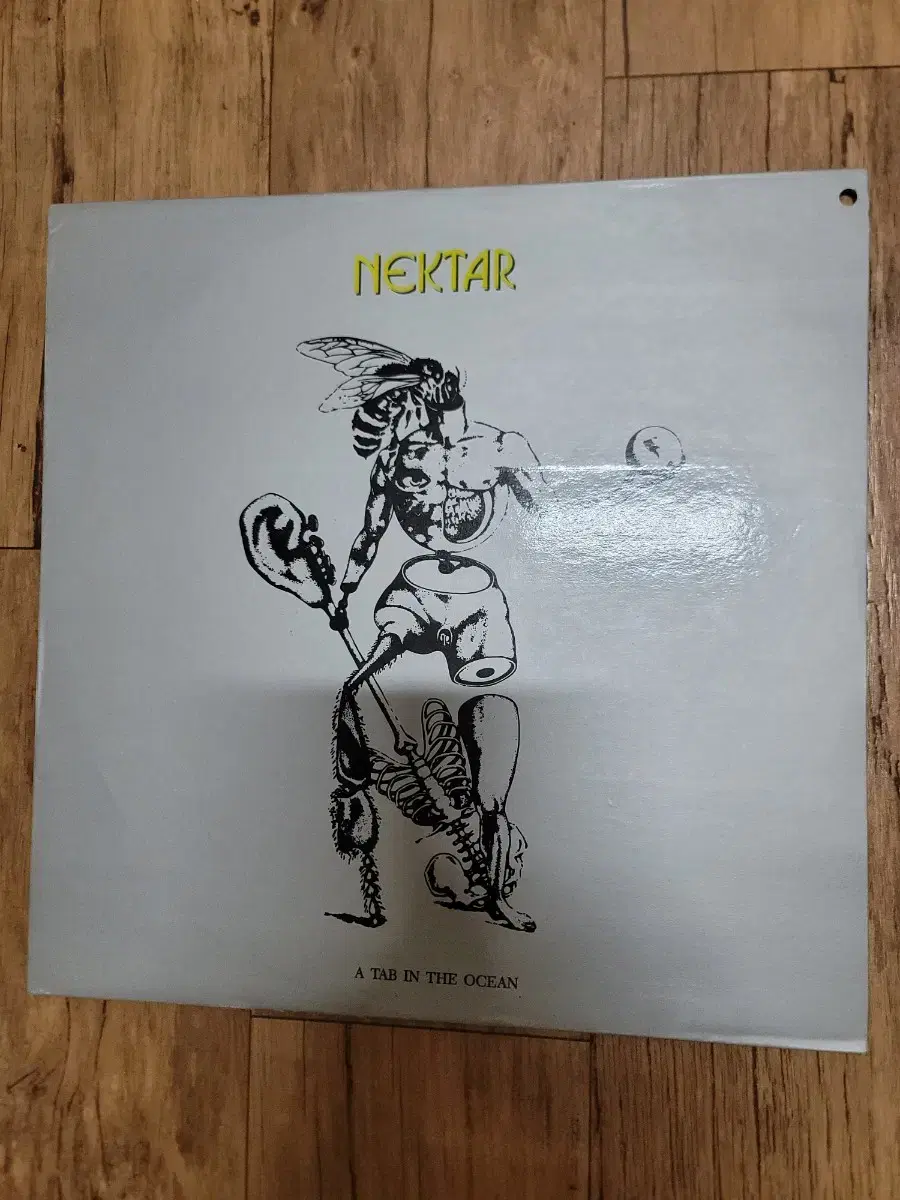 NEKTAR LP 프로그래시브 락 밴드