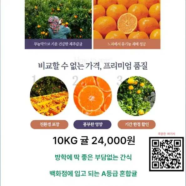 제주 혼합감귤 10KG 마지막기회!