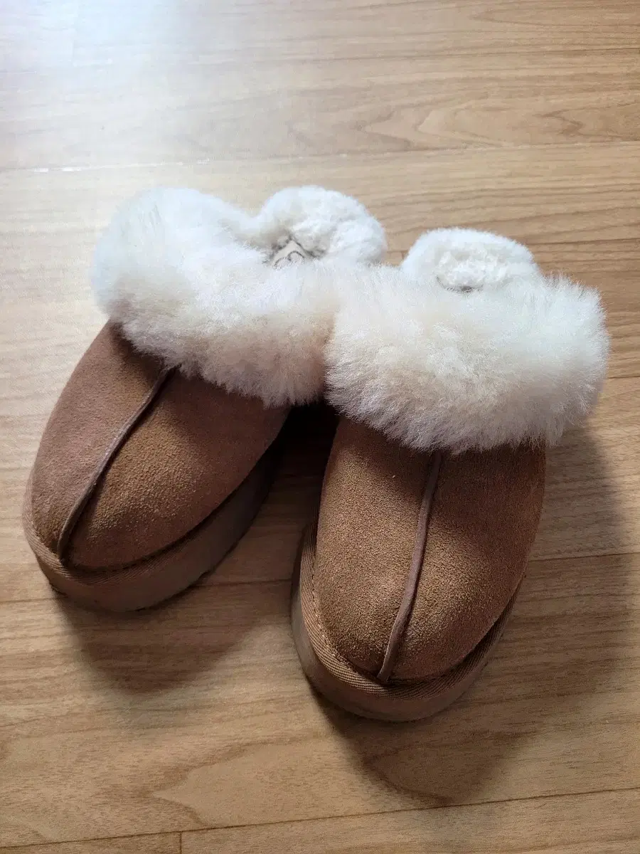 UGG 어그 디스케트 슬리퍼 UK3 220