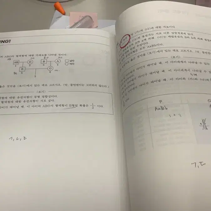 홍준용T 핀셋+노트