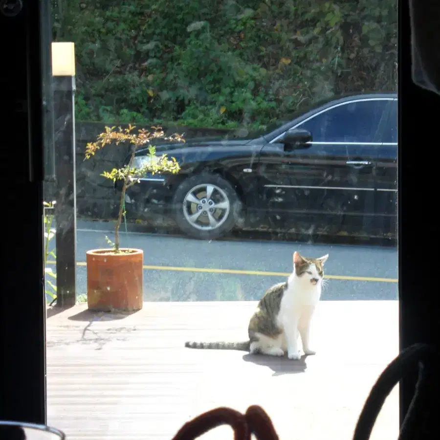 한효주 디카 (삼성디카)